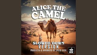 Alice The Camel Slowed Down Version [upl. by Aiekan]