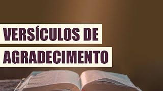 VERSÍCULOS DE AGRADECIMENTO [upl. by Shushan]