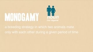 Monogamy [upl. by Yves]