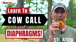 How to Cow Call with Diaphragm Elk Calls [upl. by Louanna]