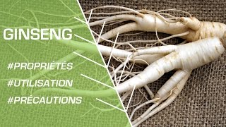 Comment utiliser le ginseng   Phytothérapie [upl. by Atinuahs]