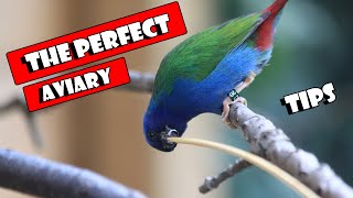 Building The Perfect AVIARY [upl. by Bidget72]