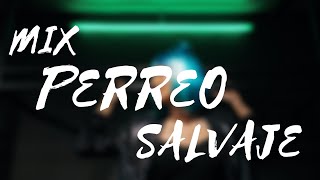 Mix Perreo Salvaje 🔥 OldSchoold  Reggeaton Antiguo Hist 🔥 Dj Anthony Alexander [upl. by Schaper78]