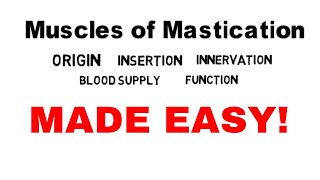 Muscles of Mastication  Head and Neck  Anatomy [upl. by Eidde]