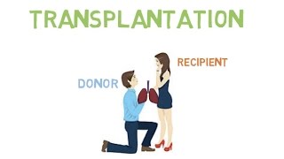 Transplantation Process to outcomes [upl. by Adnicul]