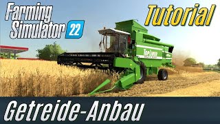 LS22 Tutorial GetreideAnbau für Einsteiger [upl. by Stanley]