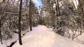 Cross Country Skiing at Michaux [upl. by Catlaina577]