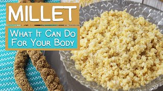 What Millet Can Do For Your Body  5 Benefits [upl. by Nareht]