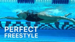 How To Swim Freestyle With Perfect Technique [upl. by Hokanson]