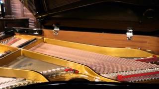 Seiler Pianos USA Collection [upl. by Terrej210]