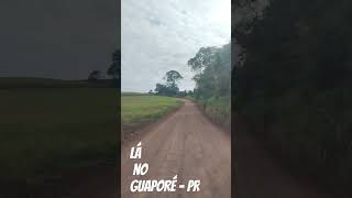 Lá no Guaporé PR [upl. by Seerdi]