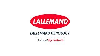 Lallemand Oenology Corporate Video  Spanish [upl. by Lancaster]