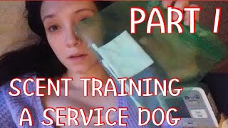 Part 1 Scent Training A Service Dog [upl. by Atena]