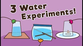 3 Easy Water Experiments for Kids [upl. by Harding620]