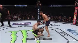 Calvin Kattar TKO’s Shane Burgos at UFC 220 [upl. by Enrak]