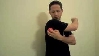 Teres Major Self Myofascial Release  Mike Reinold [upl. by Zamir91]