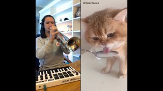 The Kiffness X NumNum Cat Live Looping Balkan Remix [upl. by Neelac]