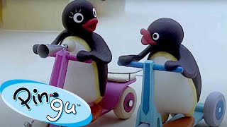 Pingu Surprises Everyone 🐧  Pingu  Official Channel  Cartoons For Kids [upl. by Annael]