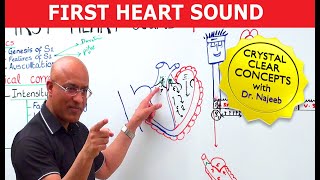 S1 Heart Sounds and Murmurs  First Heart Sound  Dr Najeeb🫀 [upl. by Imelda]