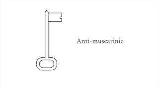 Pharmacology  antiemetics [upl. by Prisca]