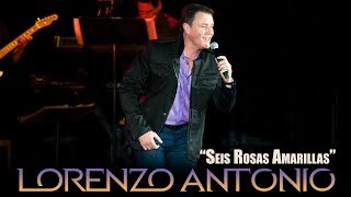 Lorenzo Antonio  quotSeis Rosas Amarillasquot en vivo [upl. by Suiratnod]