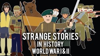 Strange Stories in History  Compilation Volume 1 [upl. by Dippold]