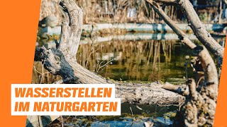 Wasserstellen I OBI I Naturnaher Garten – Folge 5 [upl. by Lemire]