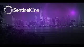 SentinelOne Next Generation Endpoint Protection Animated Overview [upl. by Corri]