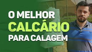 O melhor CALCÁRIO para CALAGEM [upl. by Corie]