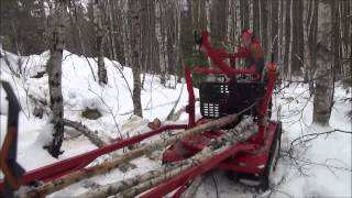 Järnhäst i skogen Jagamedhassese [upl. by Iaka]