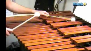 How to Play Xylophone for Beginners [upl. by Ardnuaed]