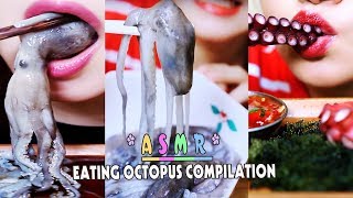 ASMR EATING OCTOPUS compilation New 2018  LINHASMR [upl. by Griswold931]