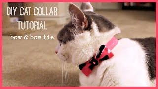 DIY Cat Collar Tutorial  Bow amp Bow Tie [upl. by Einoj]