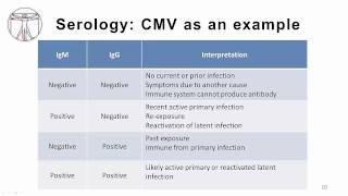 EBV Diagnostics [upl. by Fruma]