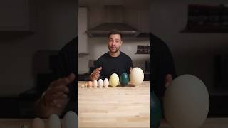 I Cooked the World’s CRAZIEST Eggs [upl. by Nolla]