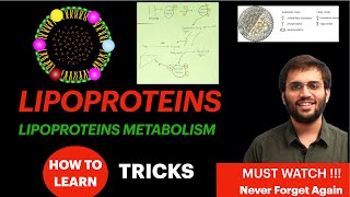 Lipoproteins Biochemistry  Lipoprotein Metabolism Structure Function  Lipid Metabolism Video [upl. by Takara510]