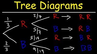 Probability Tree Diagrams [upl. by Eelta735]