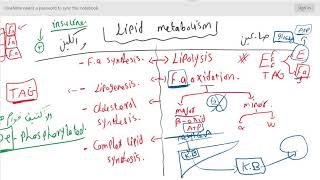 Lipid metabolism  Lec1  introduction [upl. by Bucher]