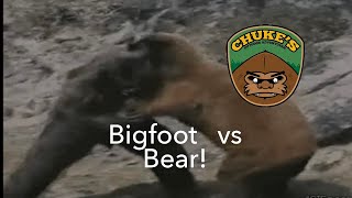 Kodiak Brown Bear Vs Bigfoot Who Would Win [upl. by Hnil]