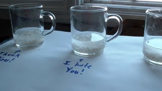 Important Knowledge  Rice Water Experiment  Dr Emoto Research [upl. by Caren]