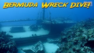 Diving the Hermes Wreck Bermuda The Bermuda Triangle [upl. by Lombardo]