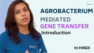 Agrobacterium Mediated Gene Transfer  Part 1  Introduction [upl. by Aikin]