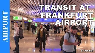 TRANSIT WALK AT FRANKFURT Airport FRA Terminal 1  Connection Flight Transfer Arriving amp Departing [upl. by Kampmeier484]