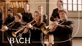 Bach  Cantata Gott man lobet dich in der Stille BWV 120  Van Veldhoven  Netherlands Bach Society [upl. by Lleuqram]