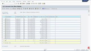 SAP GL Account Line Item Display Account Ledger [upl. by Mcdade]