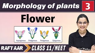 Morphology in Plants 03  Flower  Class 11NEET  RAFTAAR [upl. by Jacinda150]