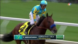 2015 Breeders Cup Classic  American Pharoah Wins the Grand Slam HD [upl. by Arenat]