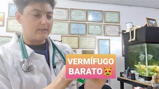 VERMÍFUGO BOM E BARATO PARA GATOS [upl. by Pippas]