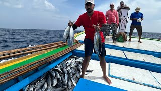 ലക്ഷദ്വീപിലെ ഒരു വെറൈറ്റി മീൻപിടുത്തം WOW Fastest Tuna fishing  Lakshadweep 👍 [upl. by Scribner]