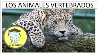 LOS ANIMALES VERTEBRADOS 2021 [upl. by Ingaborg180]